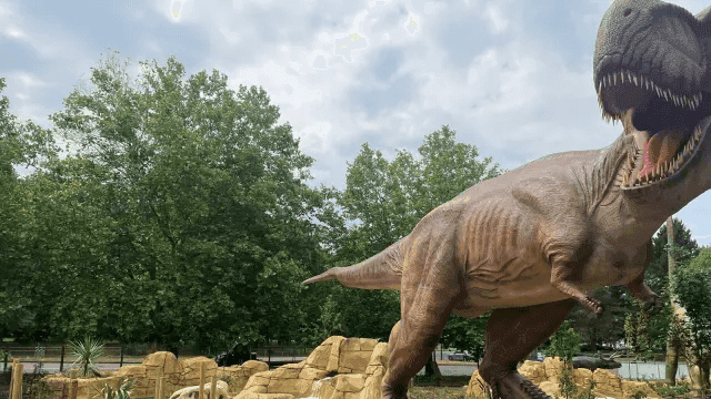 Jurassic Island Adventure Golf - Photo