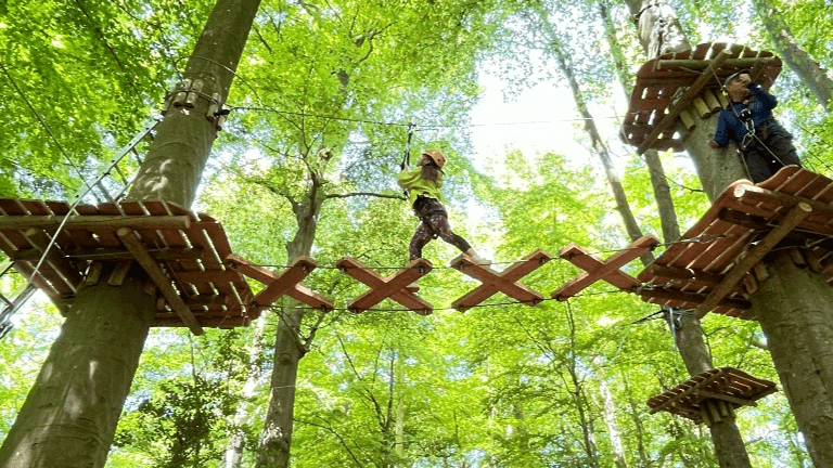 Adventure Bristol Tree Tops High Ropes - Photo