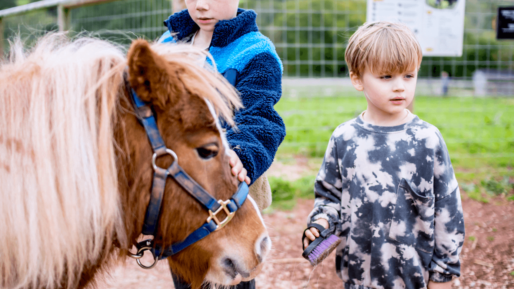 Occombe Farm - Photo