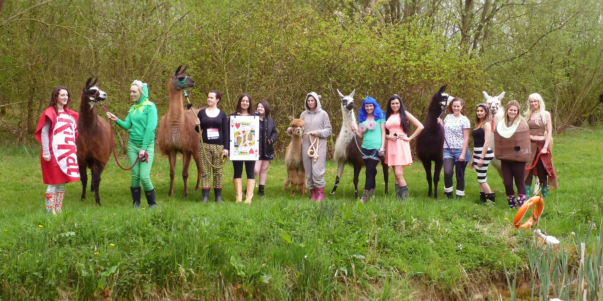 Catanger Llama Trekking - Photo