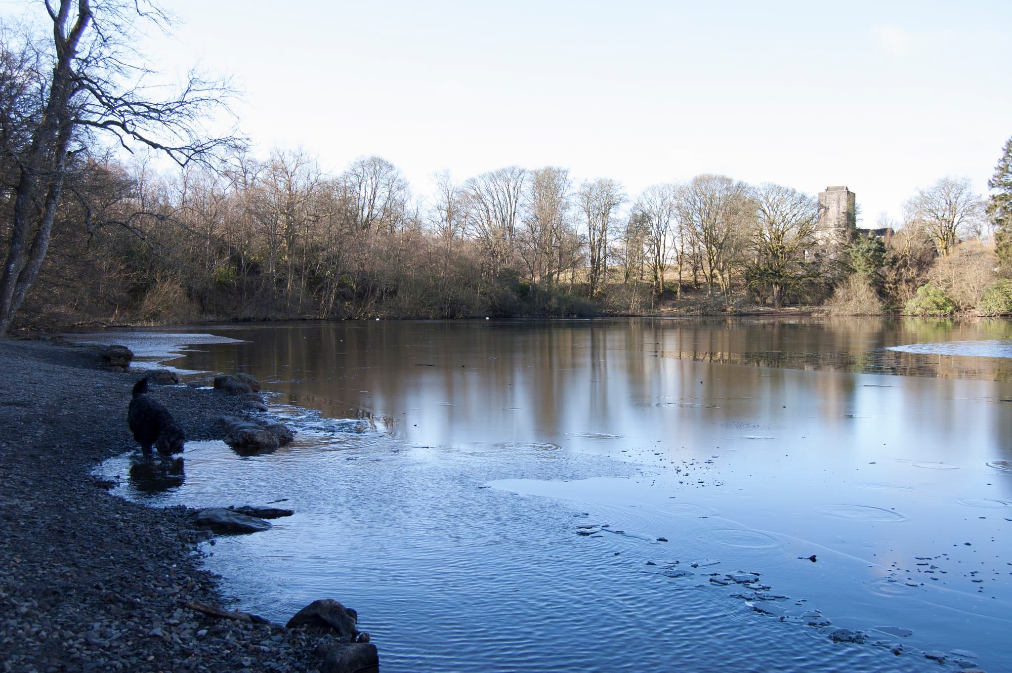 Mugdock Country Park - Photo