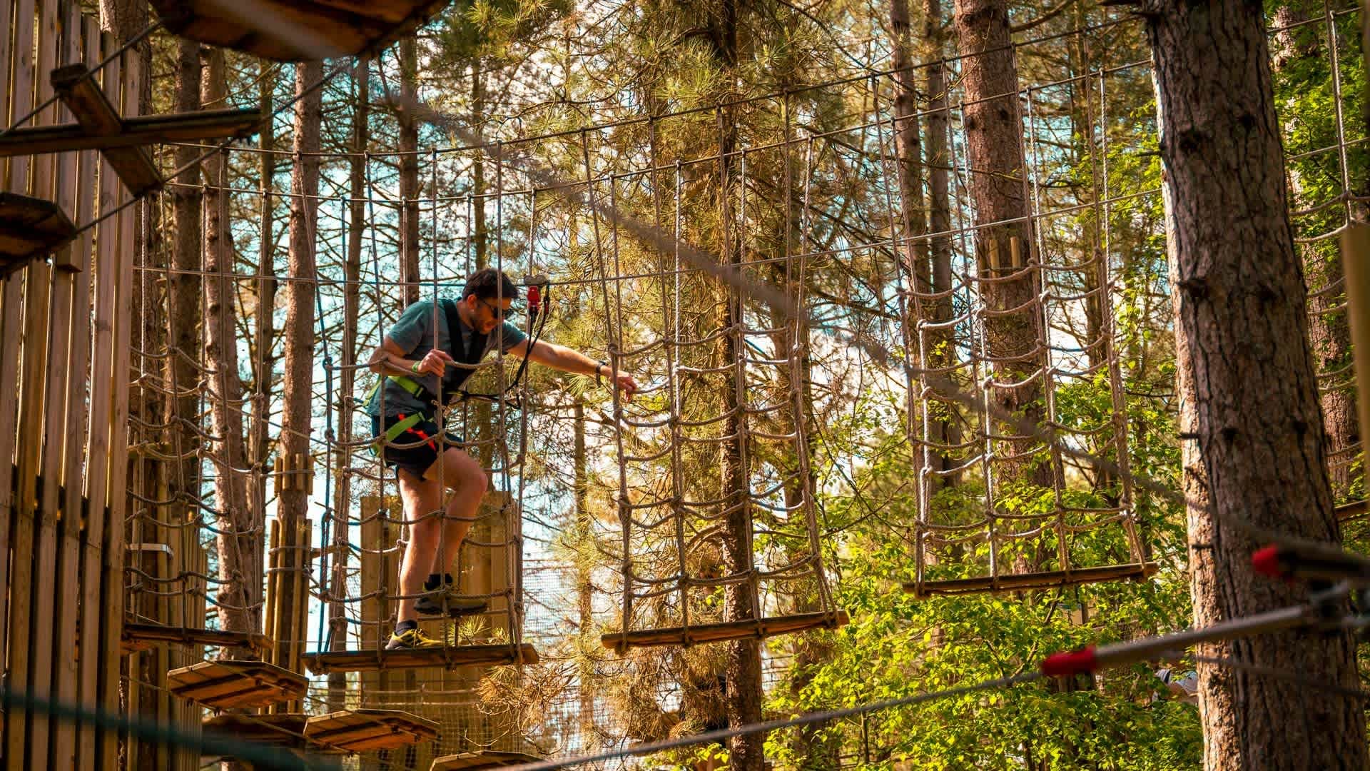 Go Ape Crawley - Photo