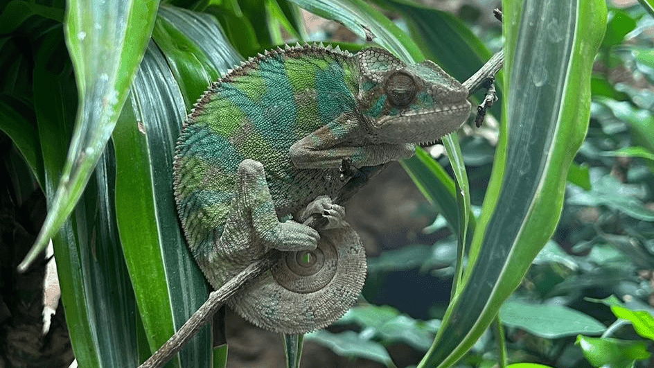 Blue Planet Aquarium - Photo