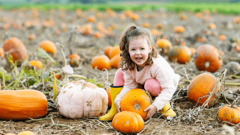 Cobbs Farm Pumpkins
