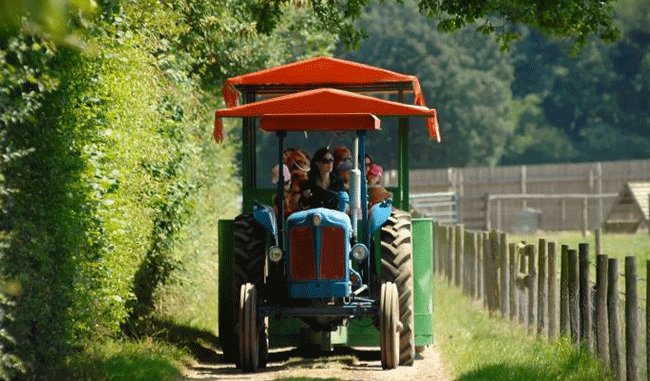 Odds Farm Park - Photo
