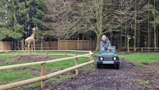 Hoo Zoo and Dinosaur World - Photo