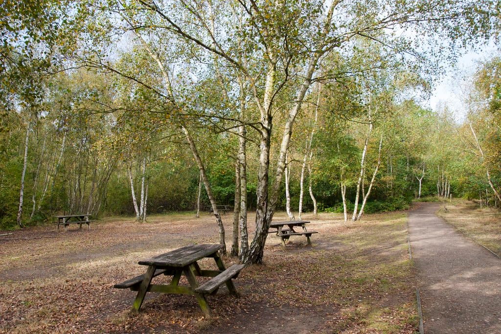 Beacon Wood Country Park - Photo