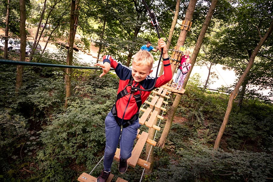 Go Ape Temple Newsam