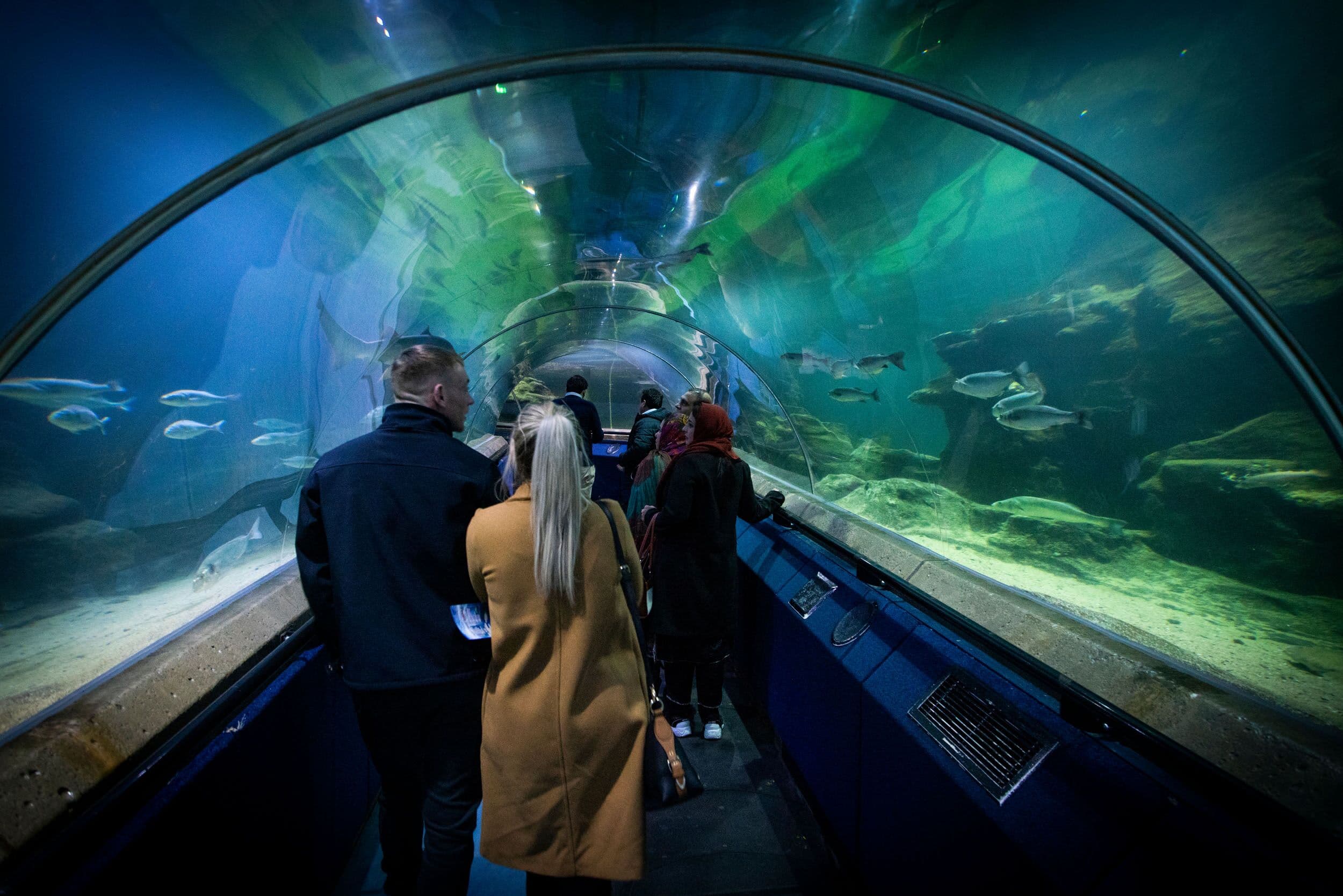 Deep Sea World - Photo 1