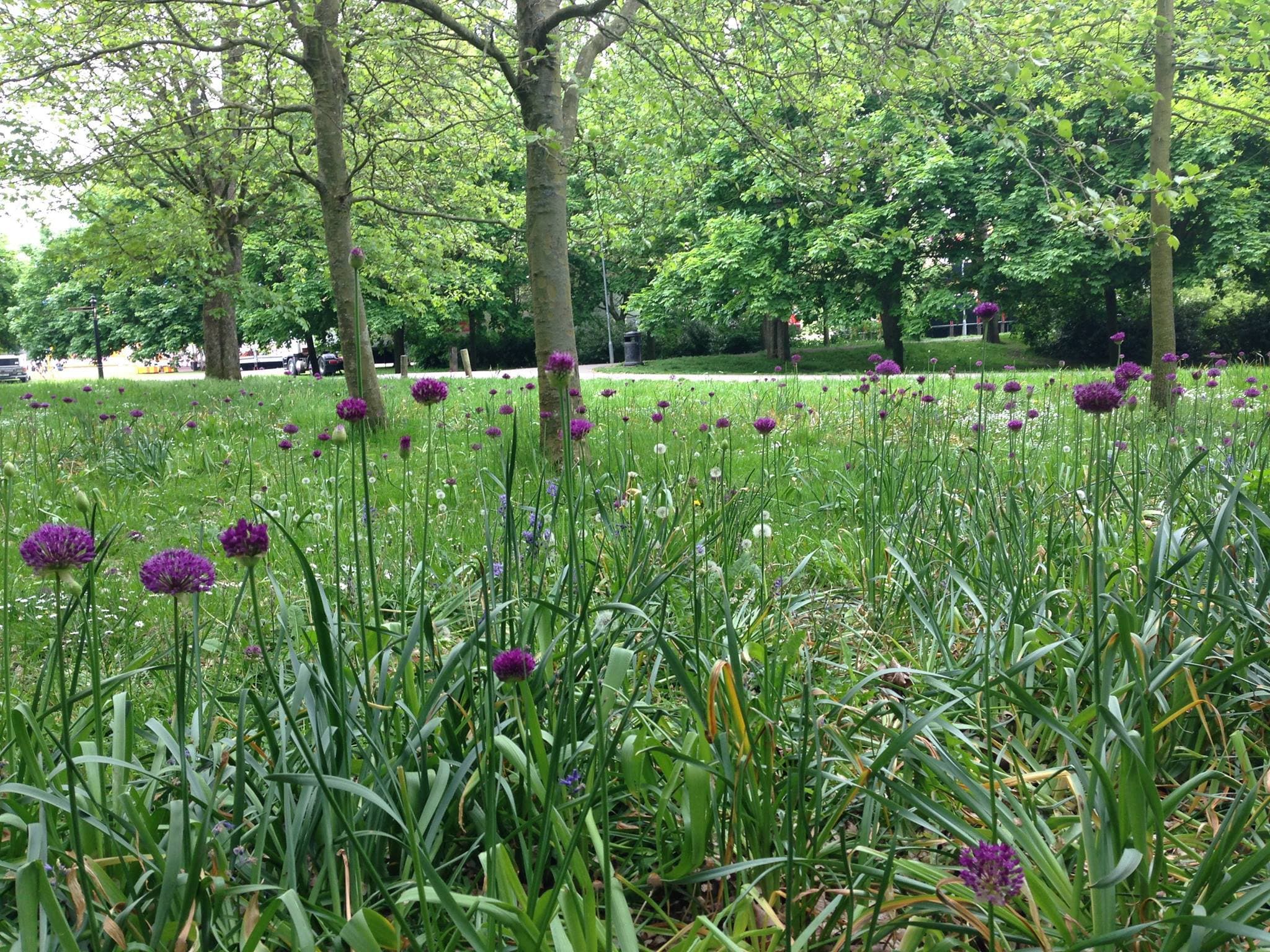 Hove Park