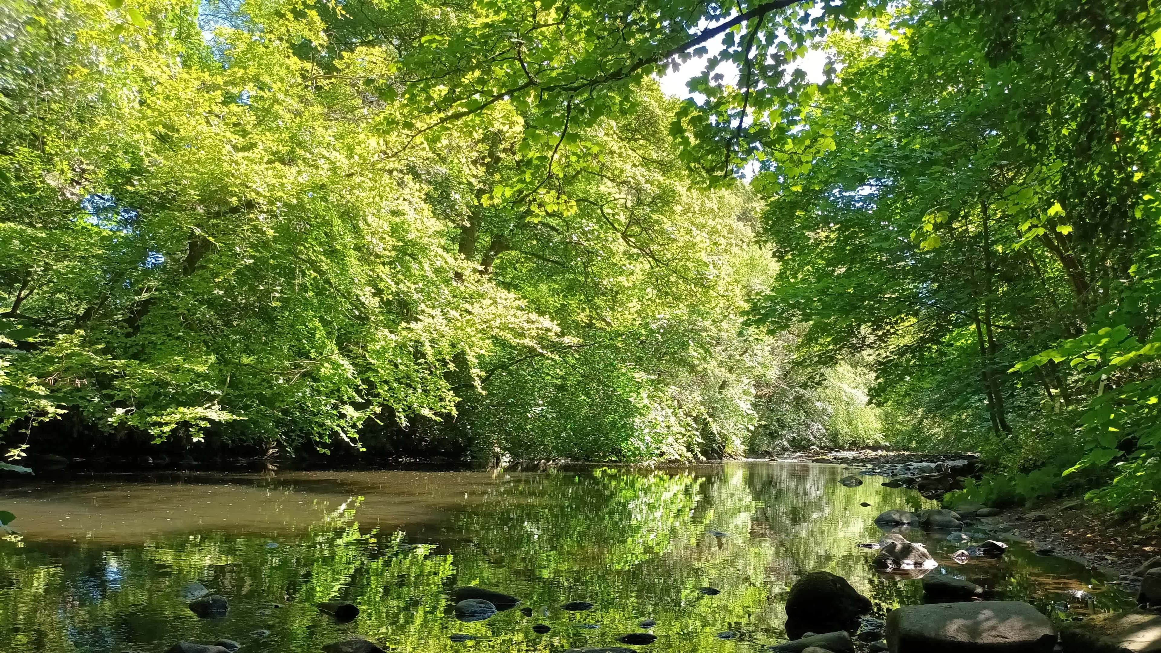 Muiravonside Country Park - Photo