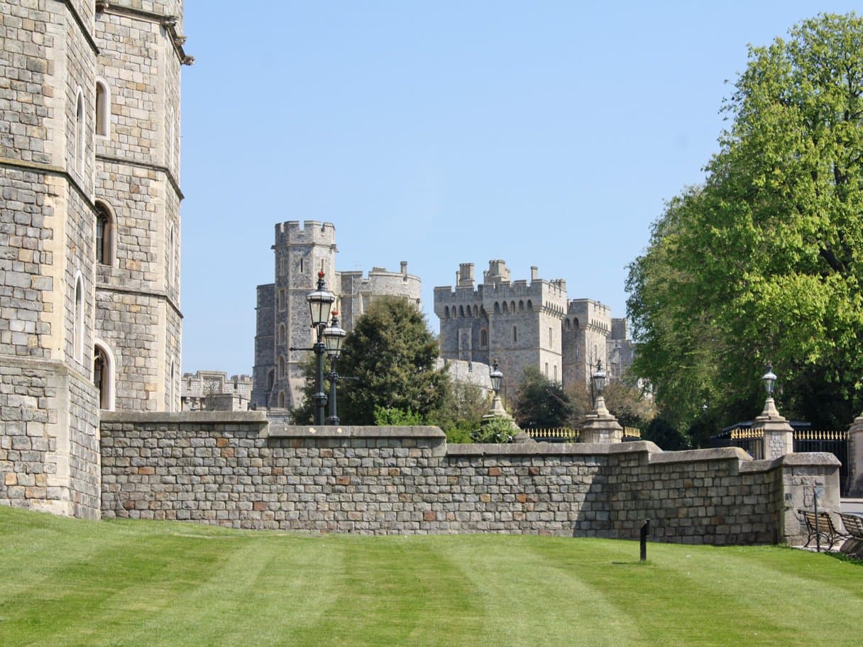 Curious About Windsor