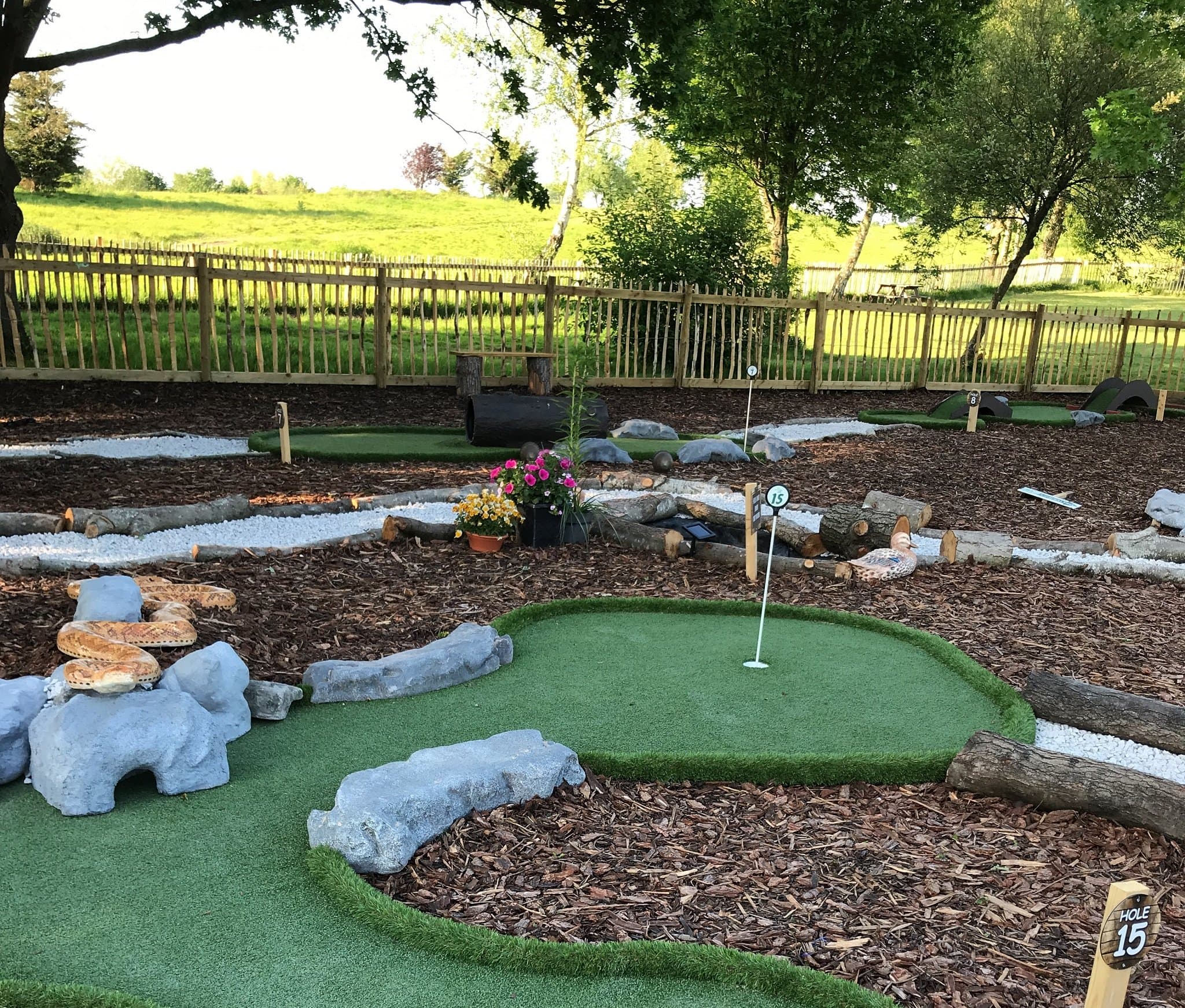 Dinton Adventure Golf - Photo
