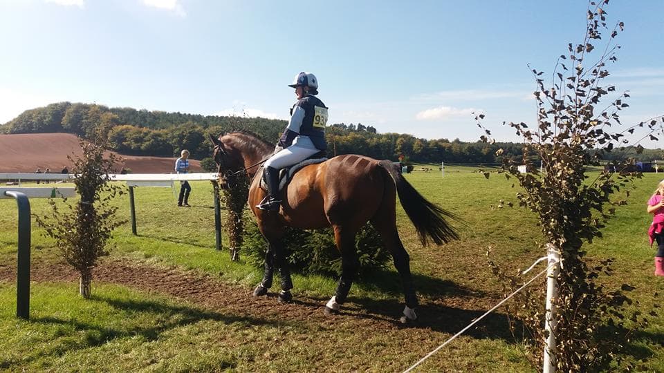 Earnsdale Farm Riding School