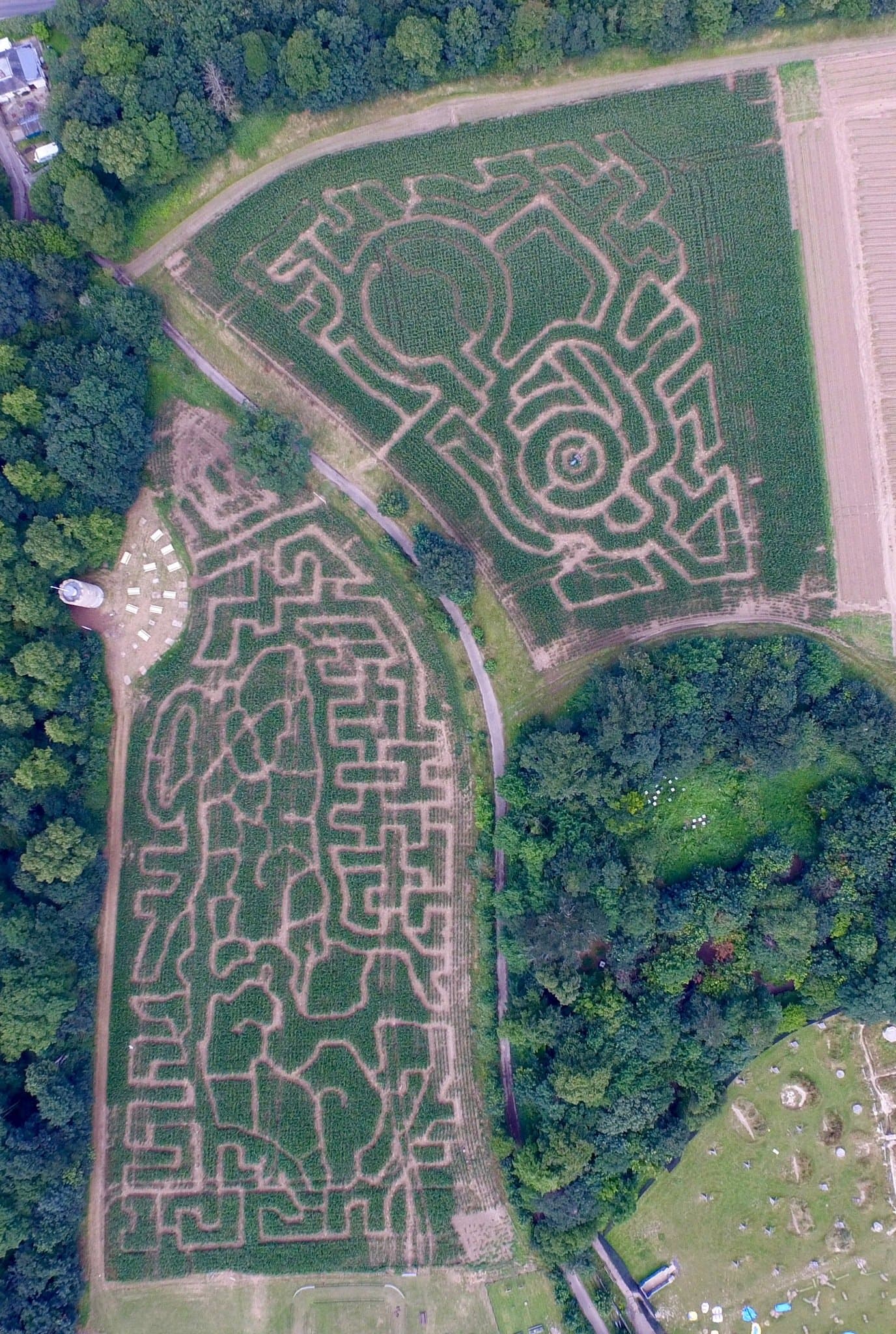 Quex Maize Maze