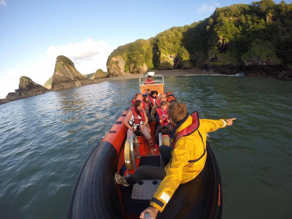 Ilfracombe Sea Safari - Photo