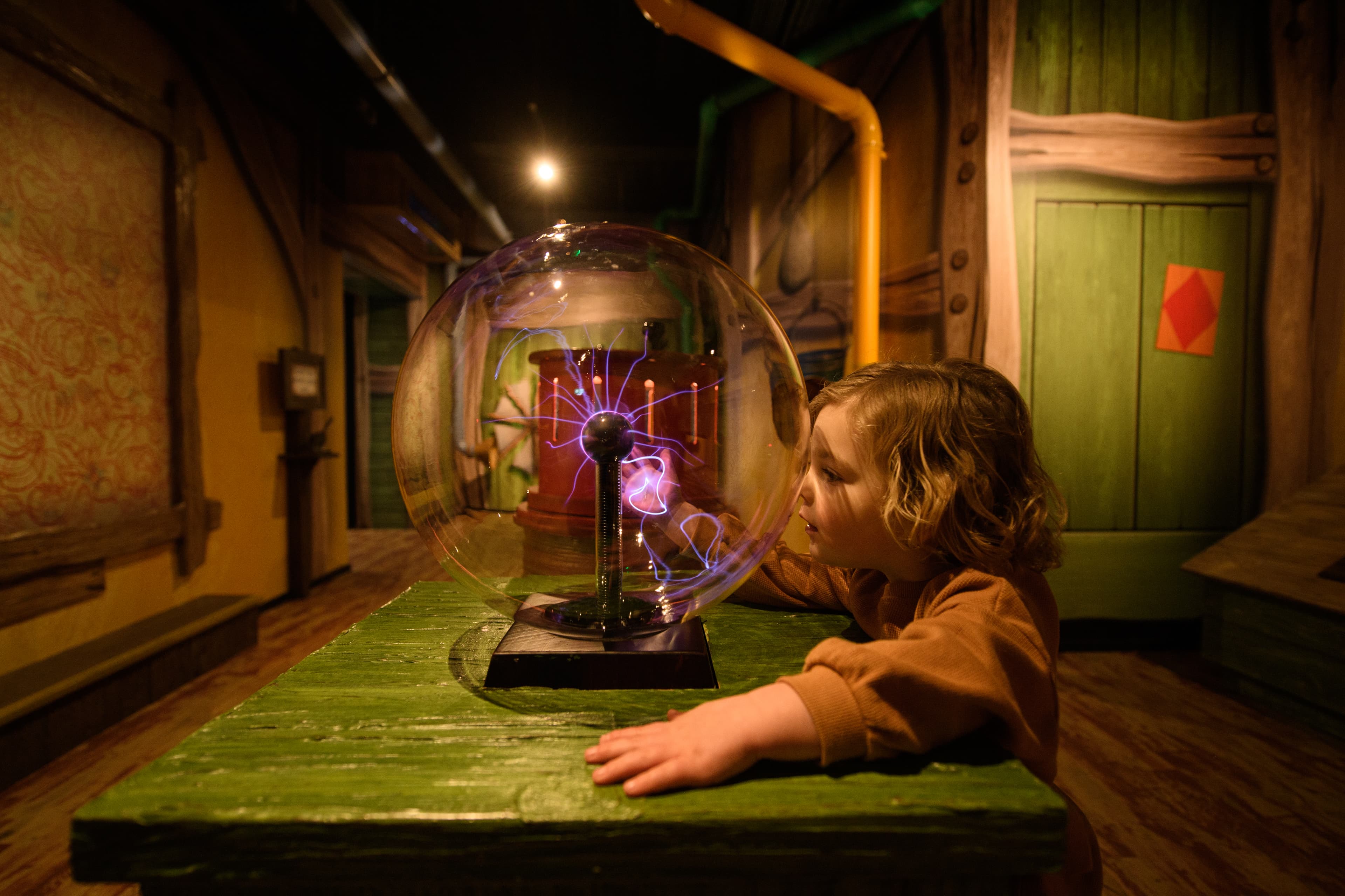 Peter Rabbit: Explore and Play - Photo