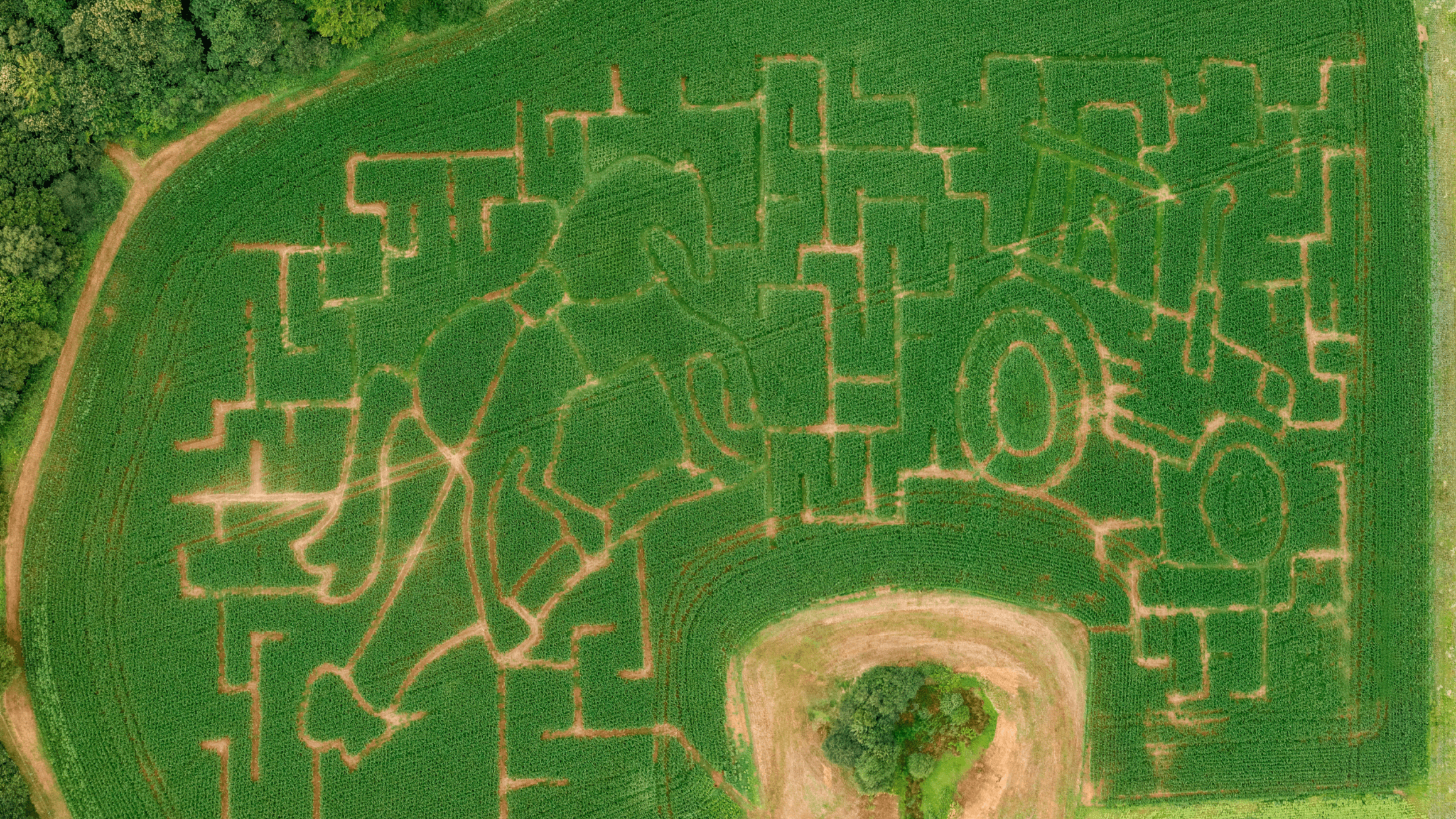 Cowdray's Maize Maze