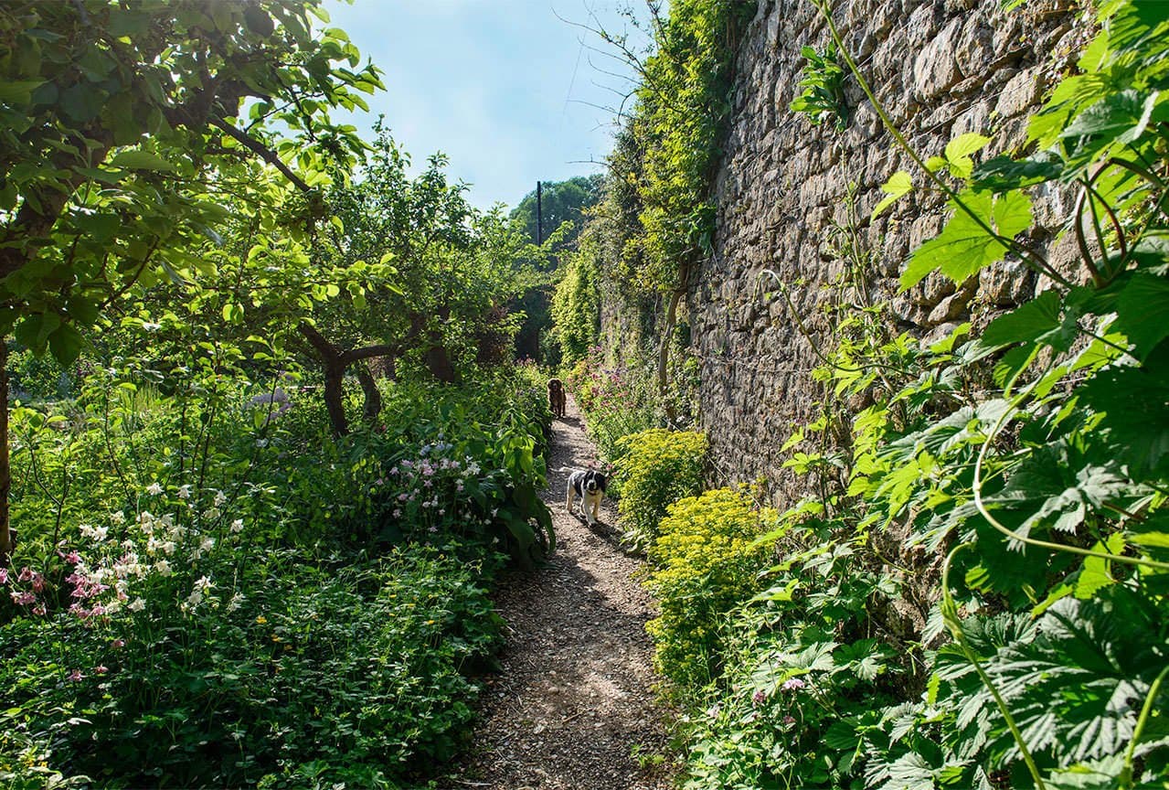 Walled Garden at Mells - Photo 1
