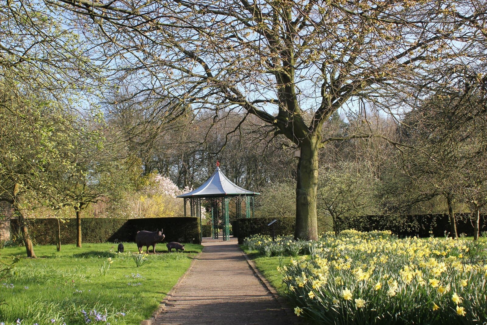 Norton Priory Museum and Gardens - Photo