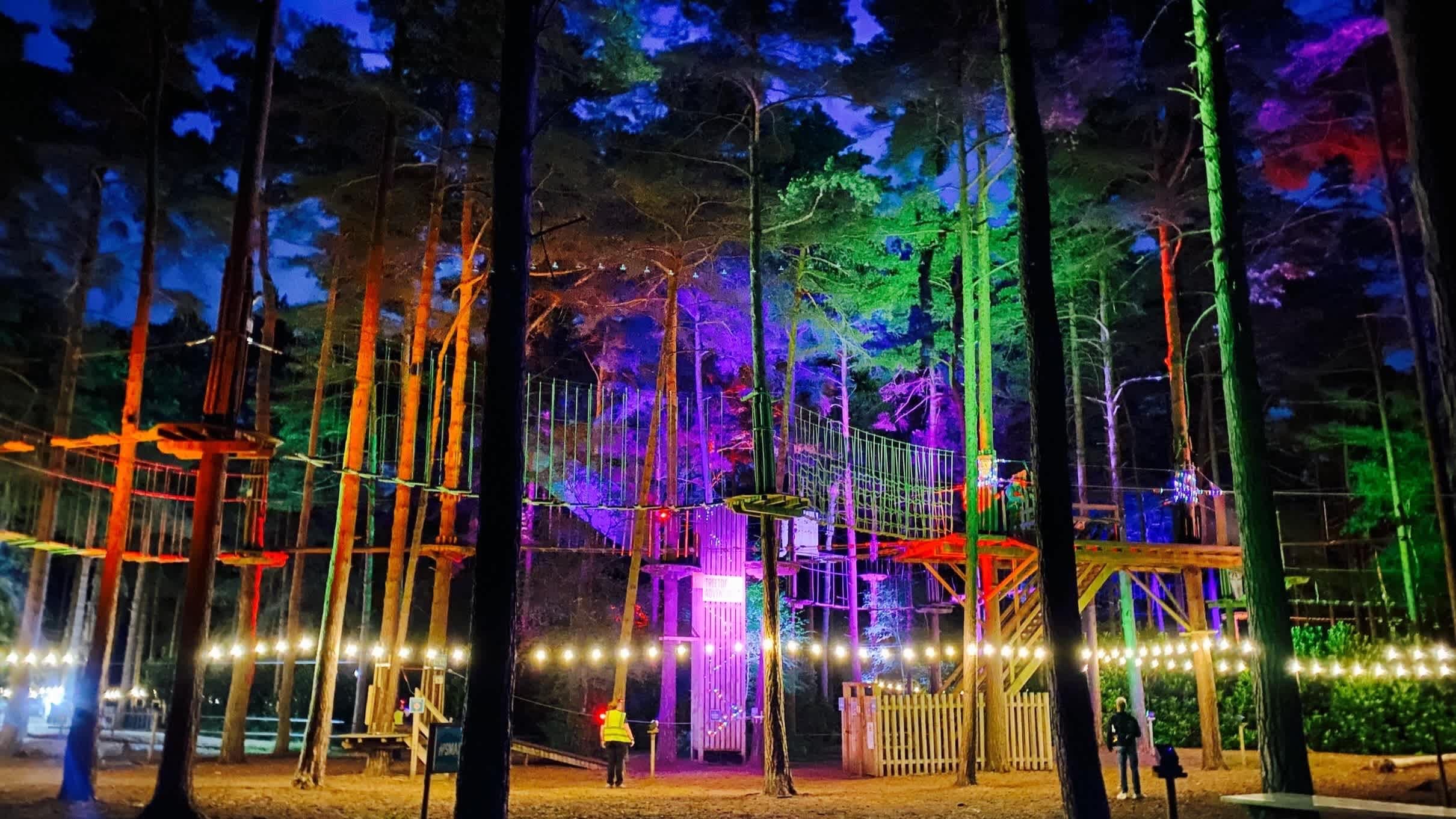 Go Ape Chessington - Photo