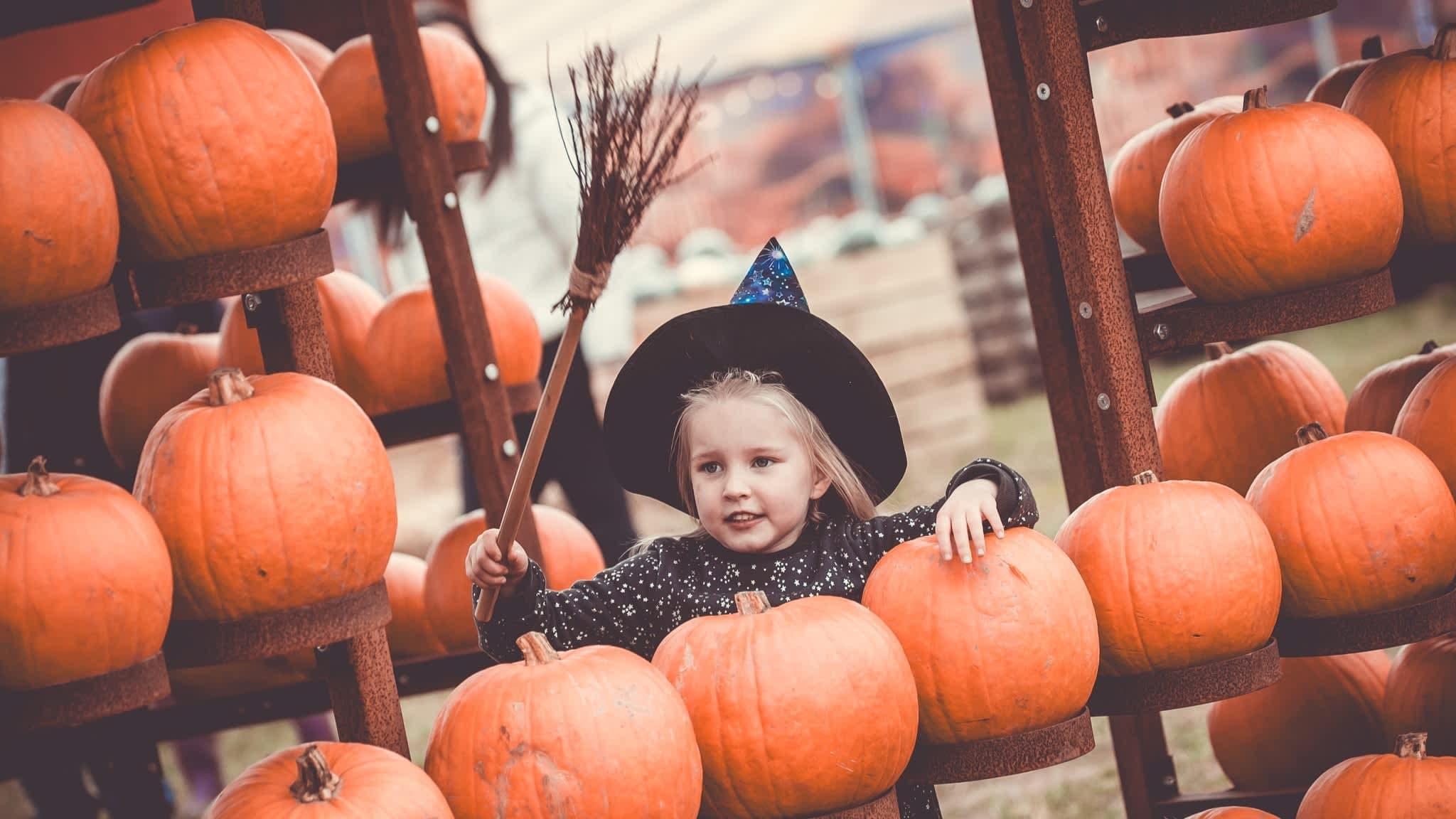 Halloween Farm - Photo