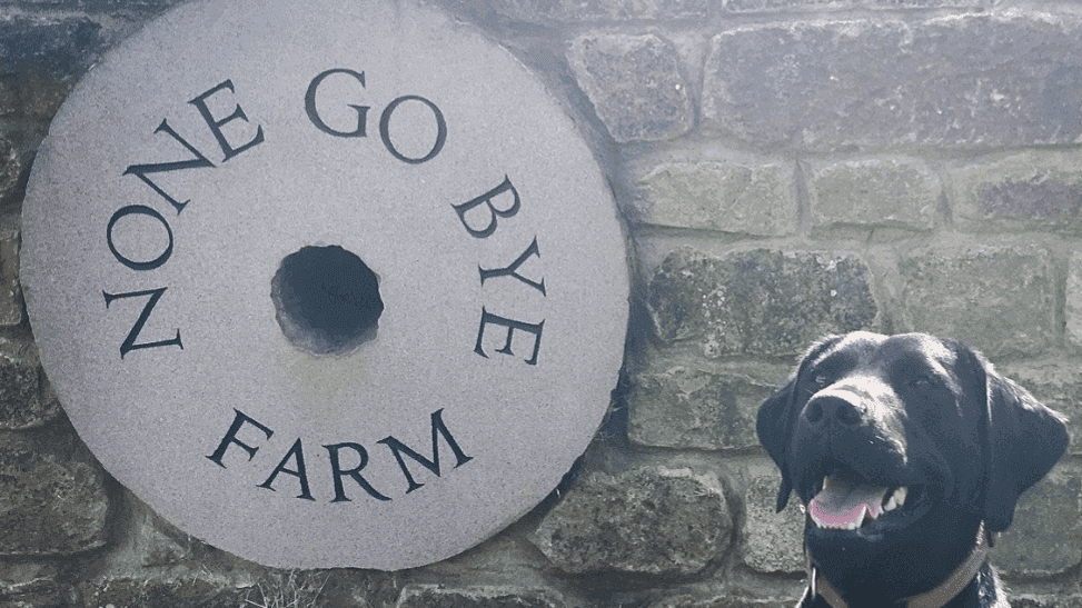 None Go Bye Farm - Photo