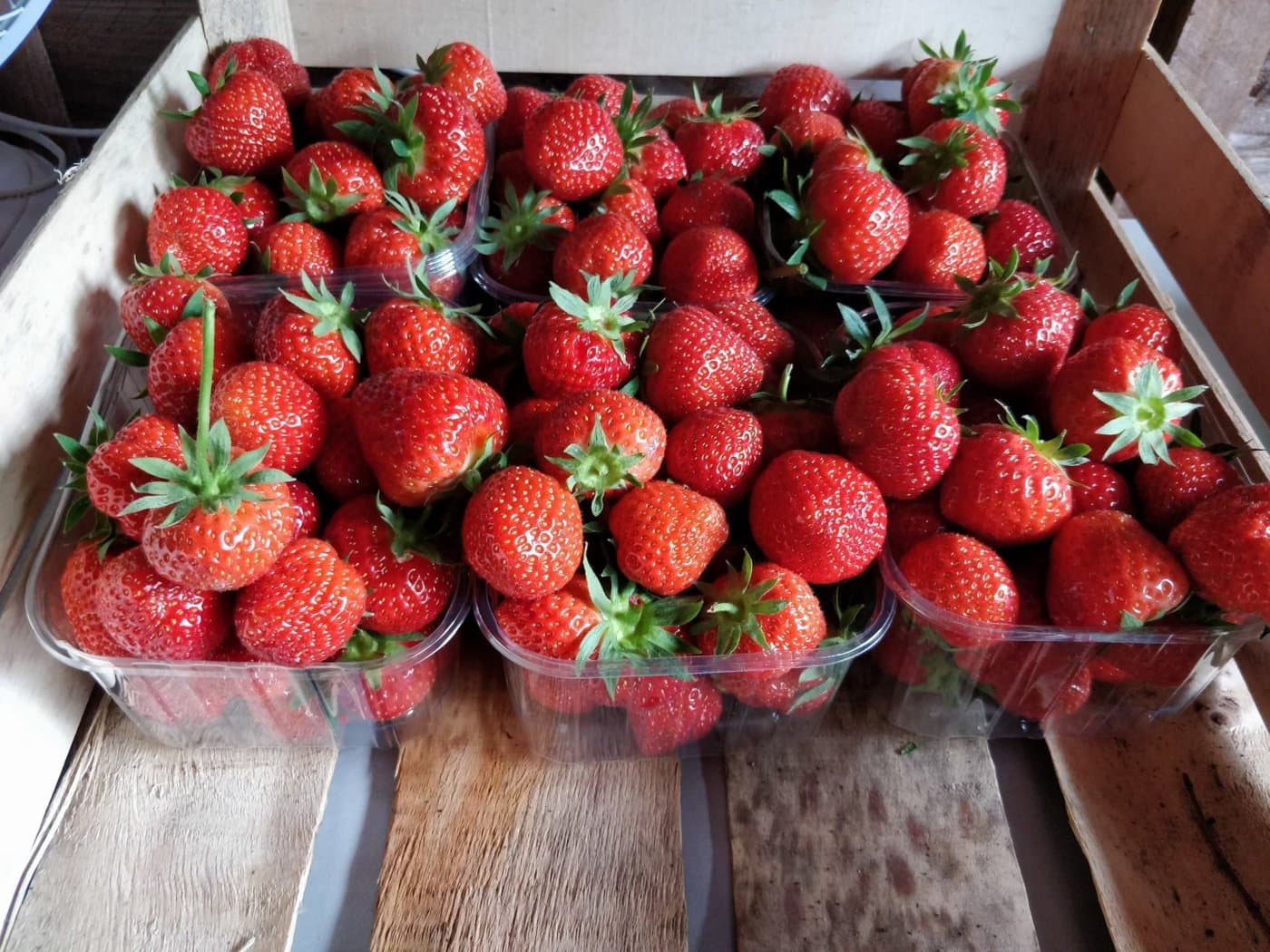 Graveley Fruit Farm