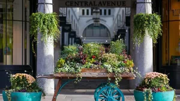 Peter Rabbit Garden Adventure - Photo