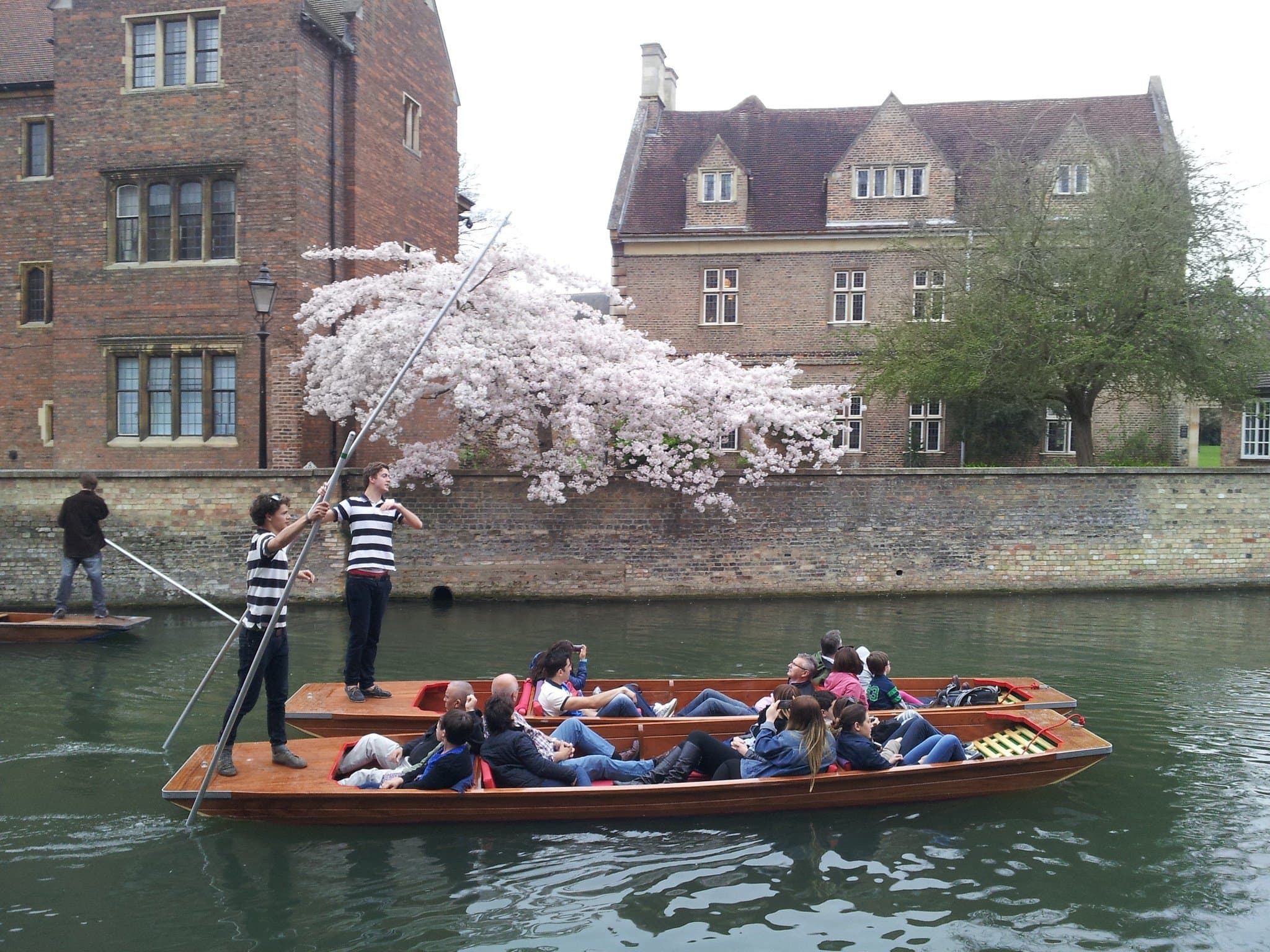 Cambridge Punt Company - Photo
