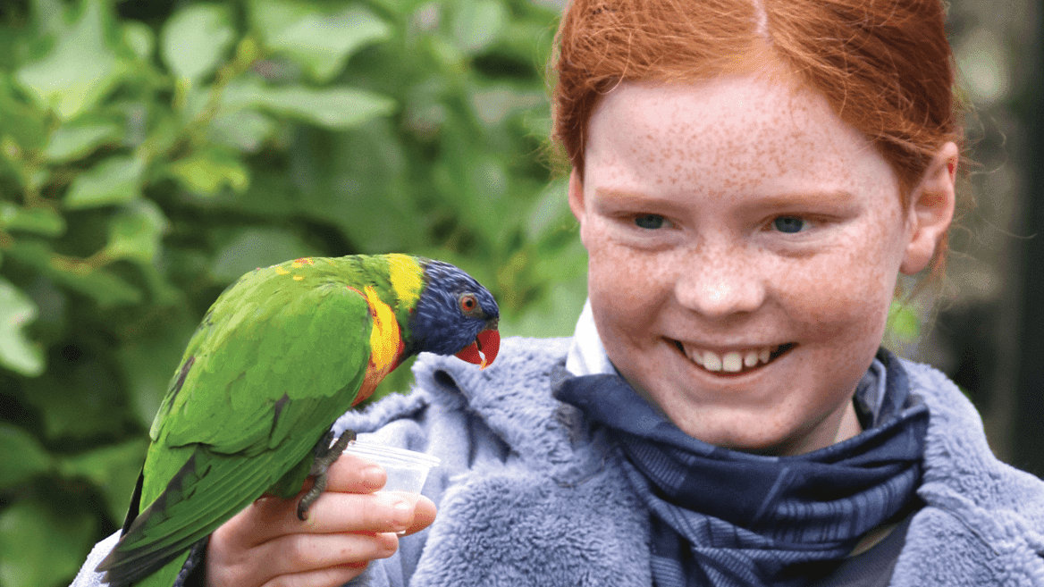 Paradise Park and JungleBarn - Photo