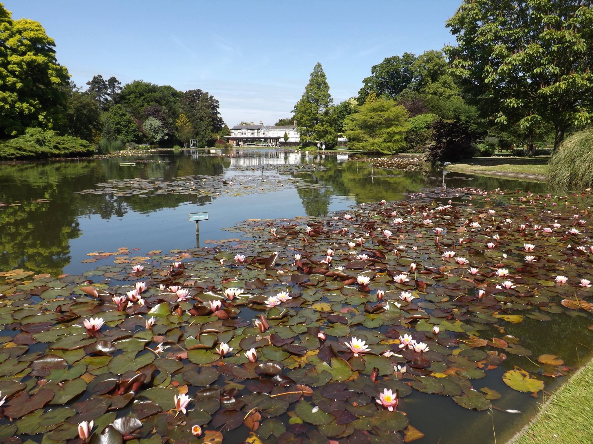 Burnby Hall Gardens