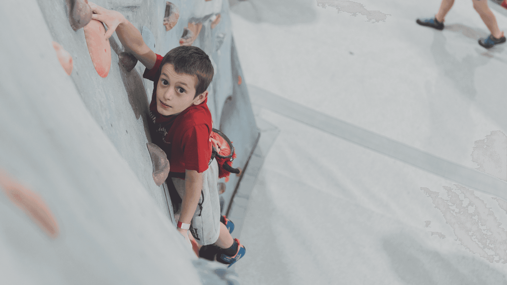 Red Spider Climbing - Photo