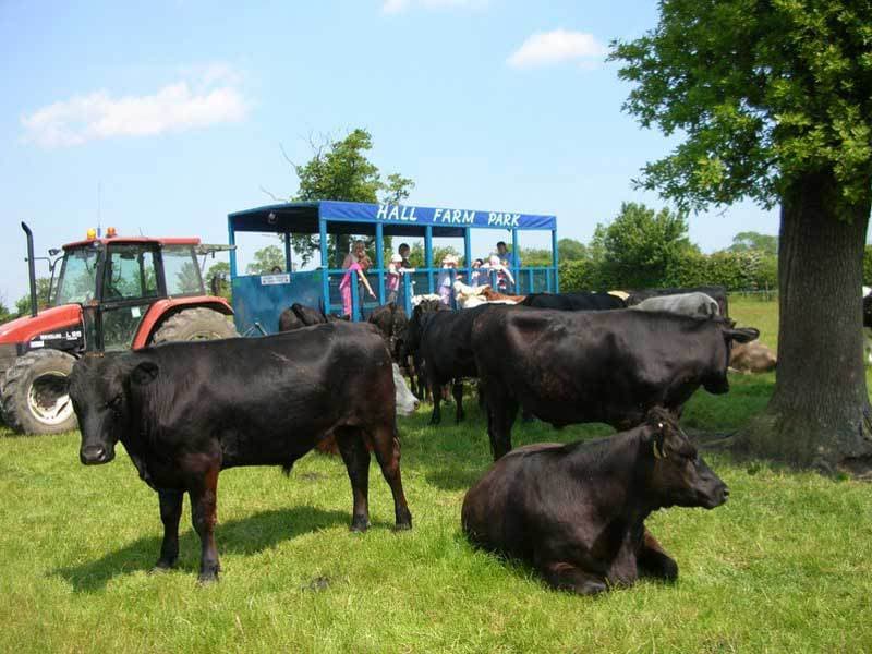 Hall Farm Park - Photo 1