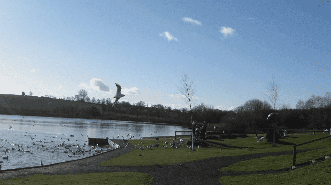 Thrybergh Country Park Rotherham - Photo