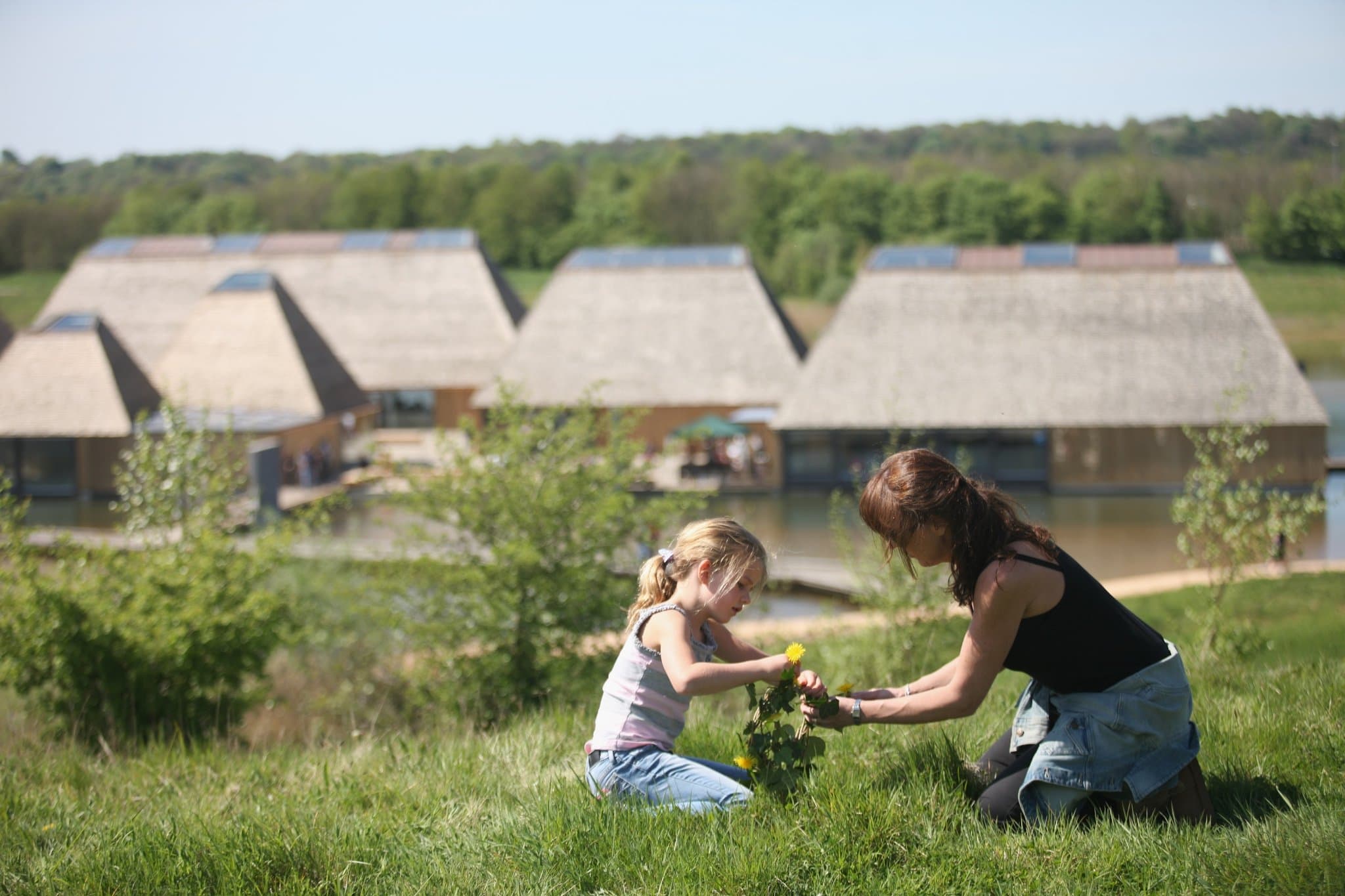 Brockholes Nature Reserve - Photo