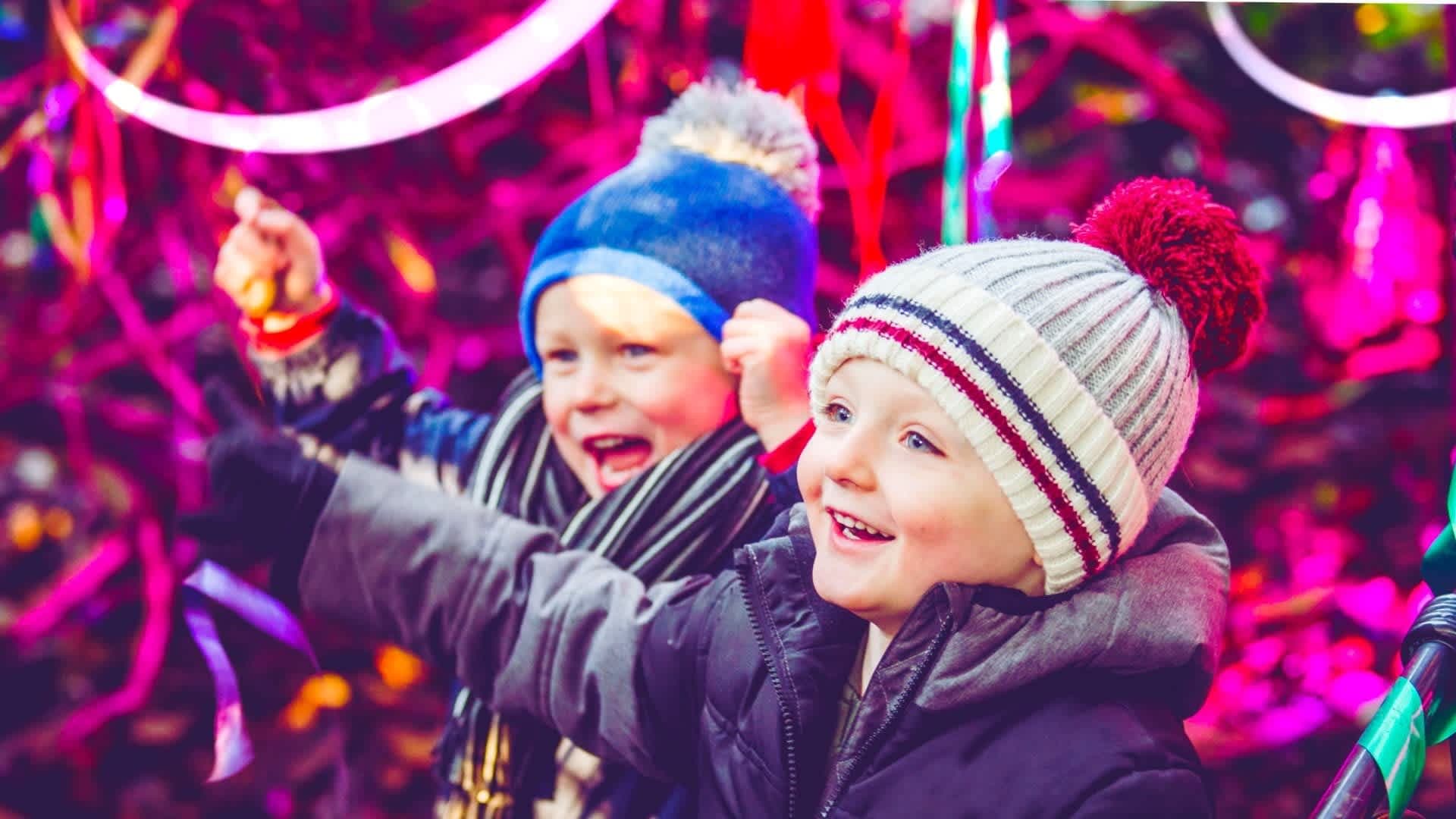 Forest of Light at Beamish Hall