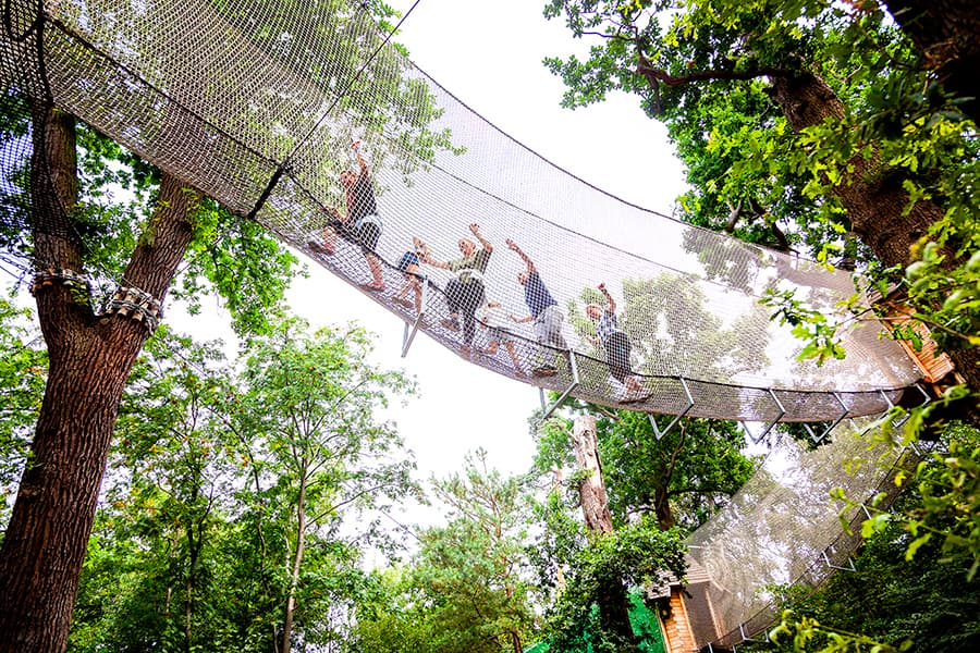 Go Ape Black Park - Photo