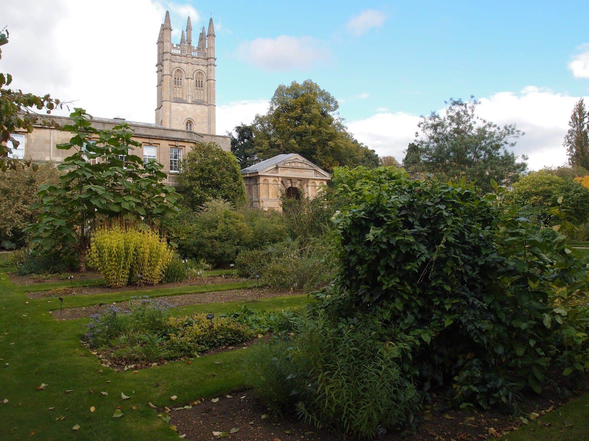 The University of Oxford Botanic Garden - Photo