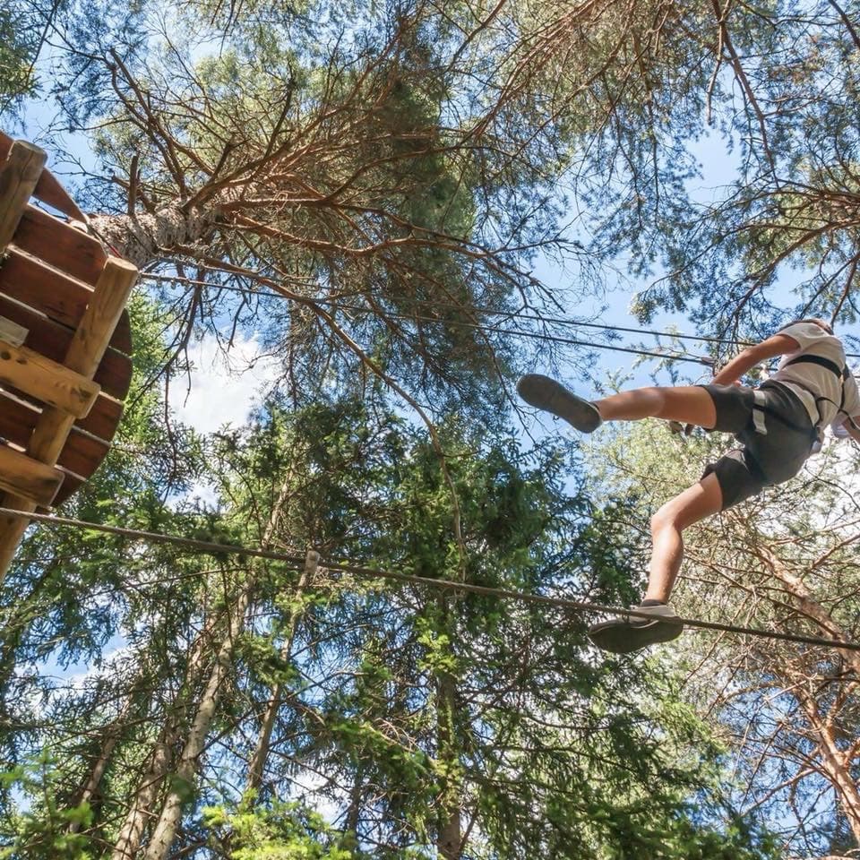 The Tunnel Tree Tops - Photo 1