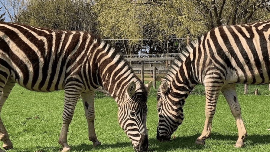 All Things Wild Nature Centre - Photo