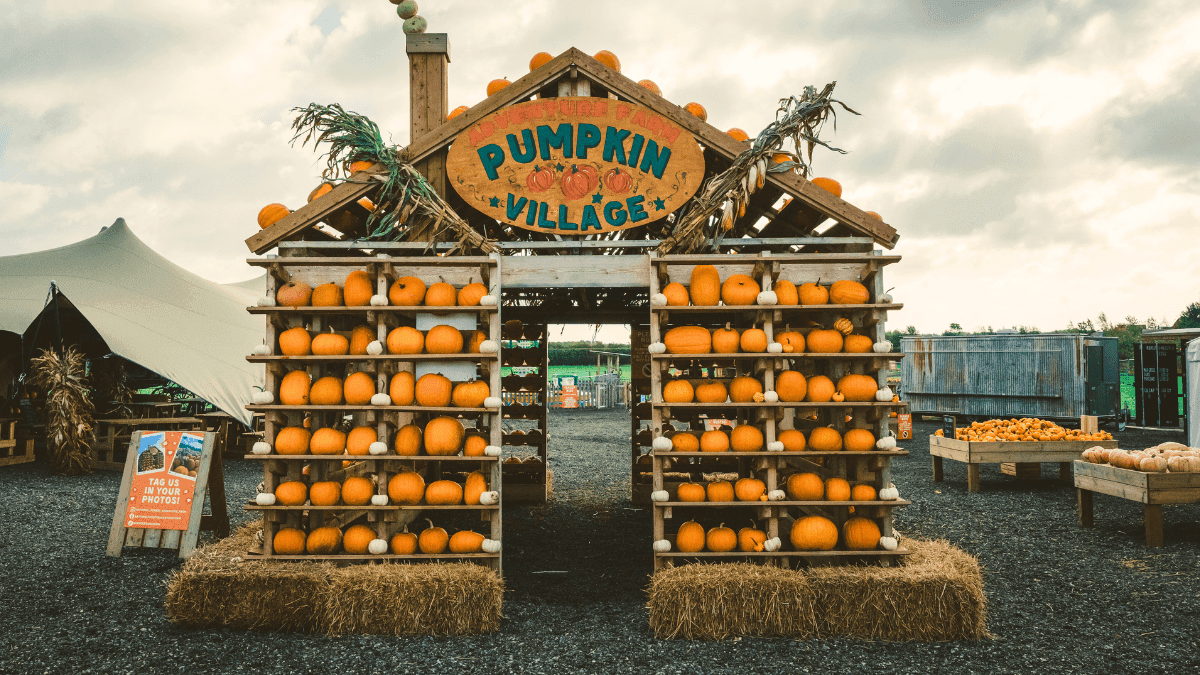 National Forest Adventure Farm