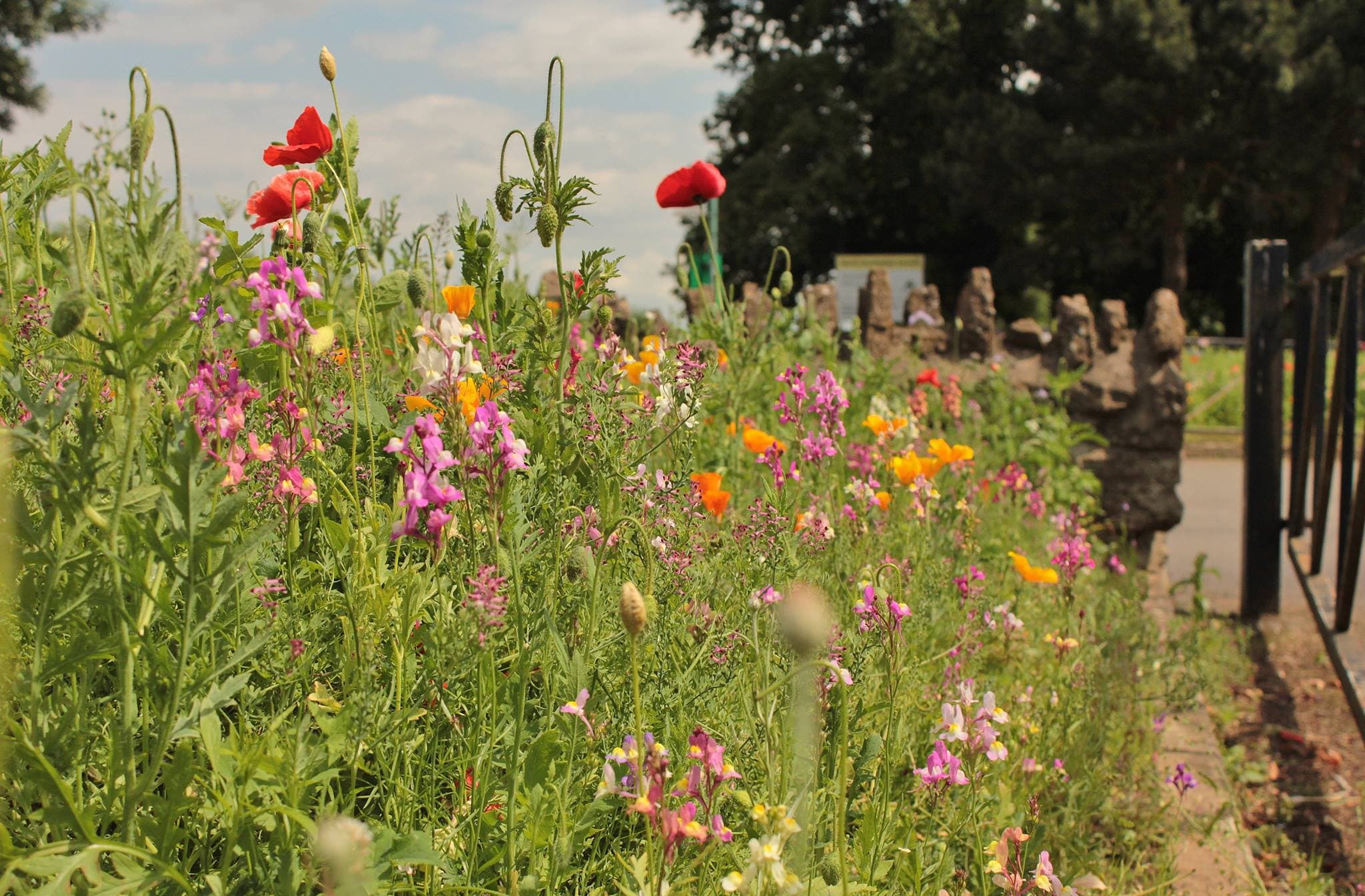 Normanby Hall Country Park