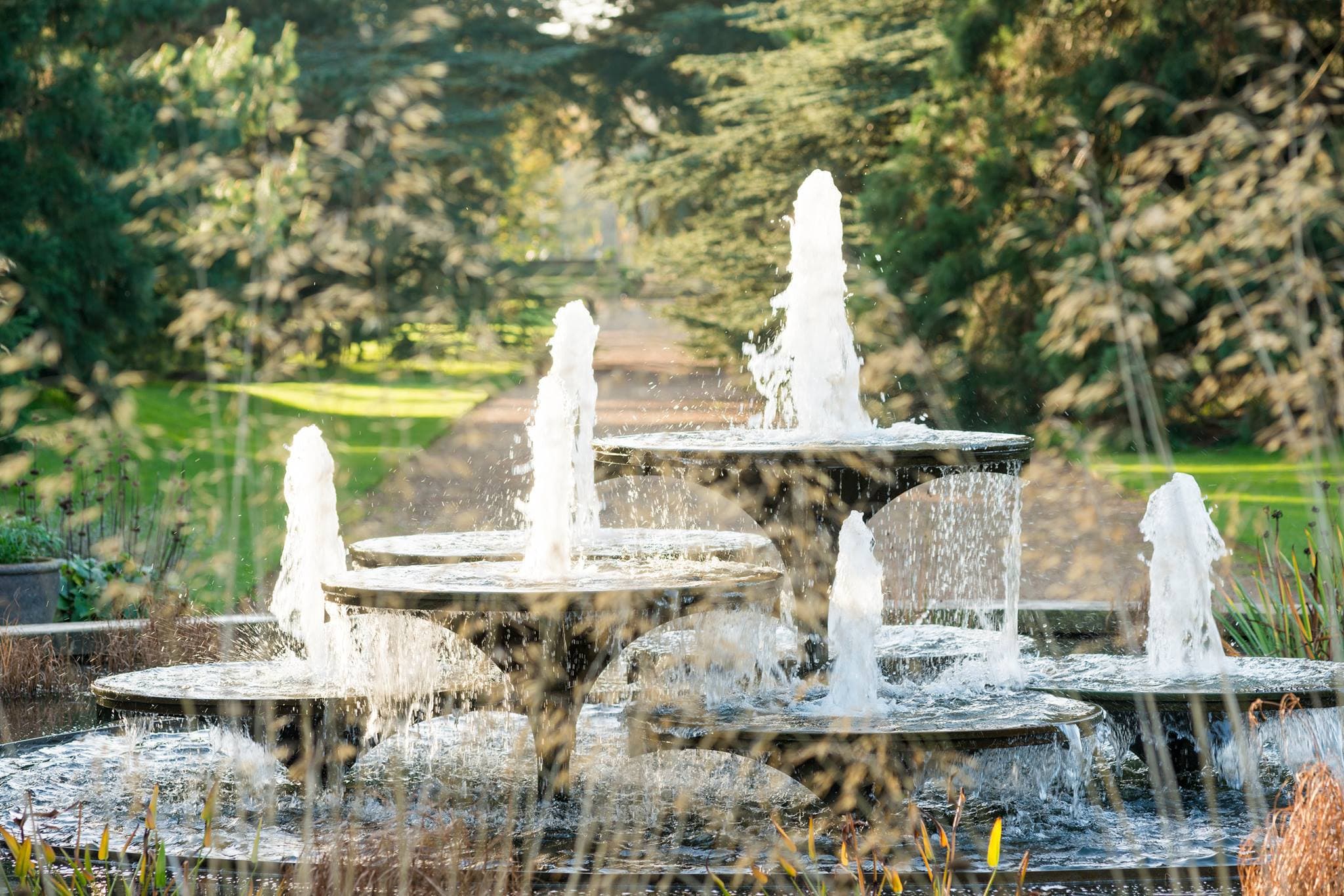 Cambridge University Botanic Garden