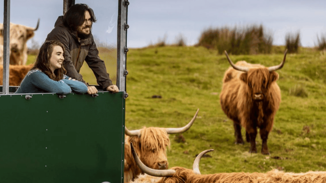 Kitchen Coos & Ewes - Photo 1