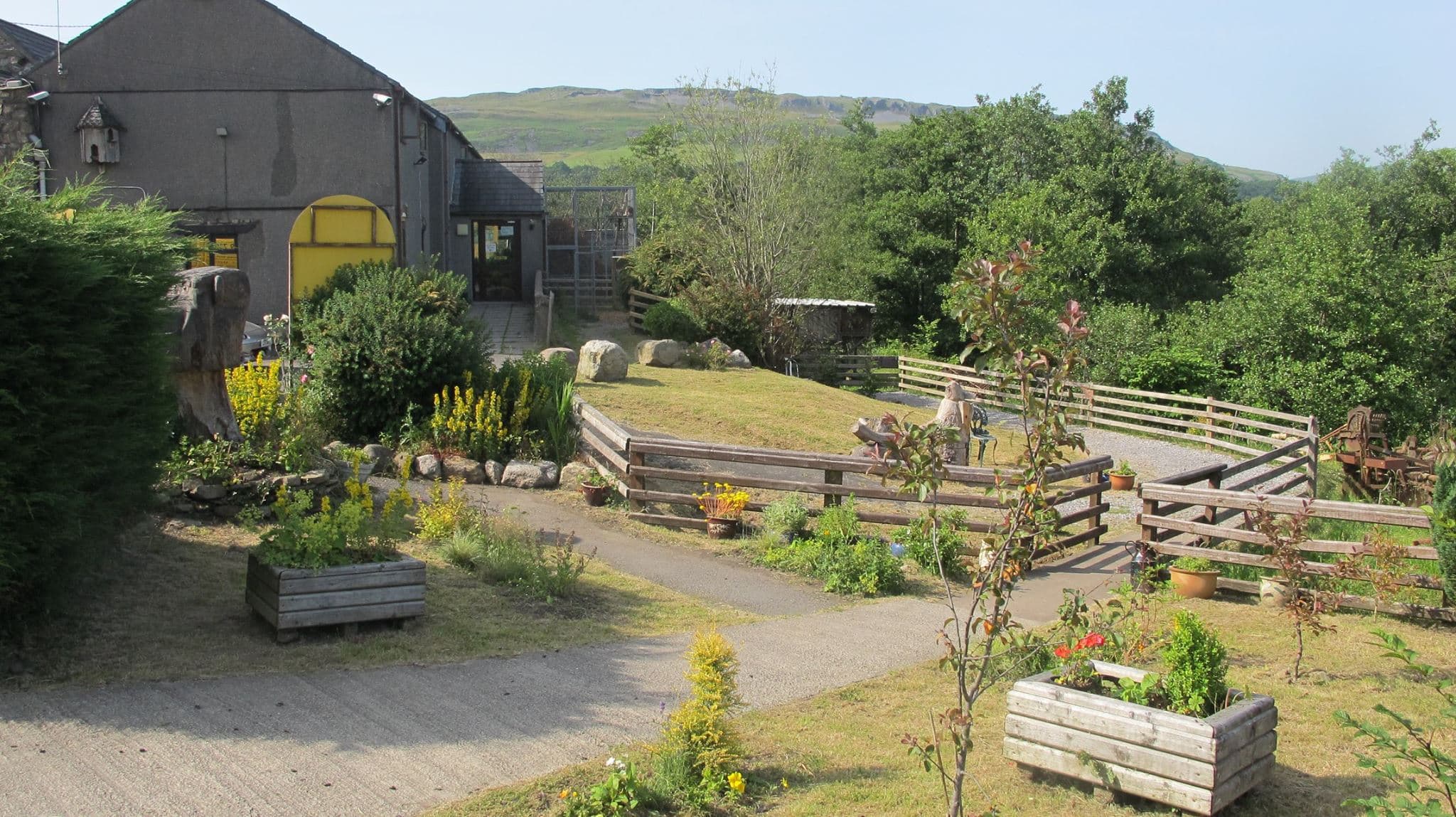 Wales Ape and Monkey Sanctuary - Photo