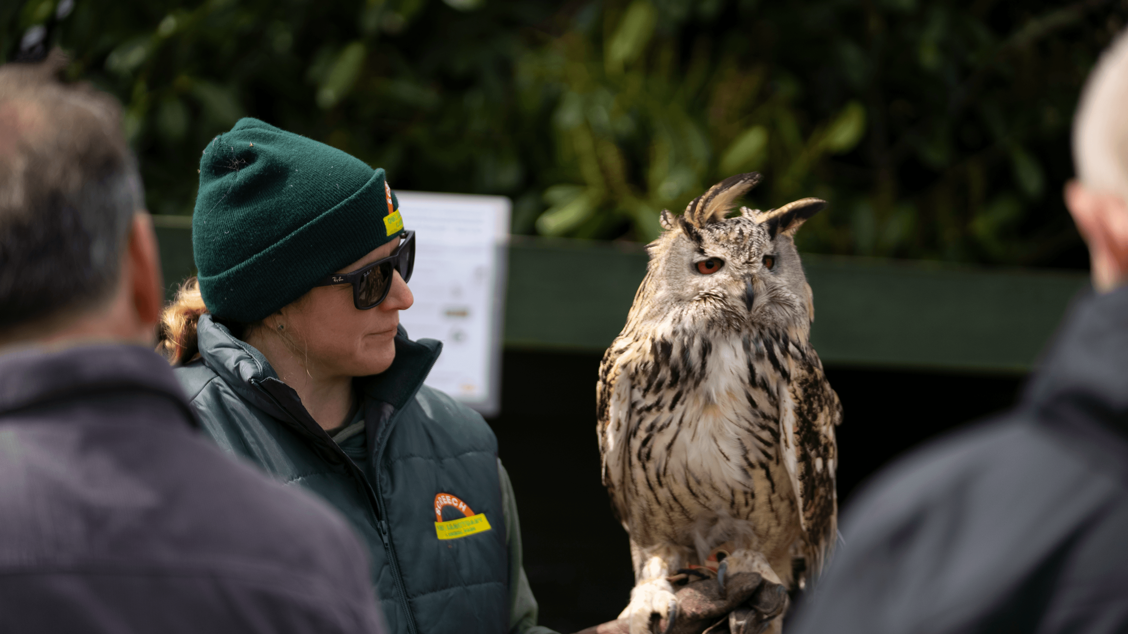 Screech Owl Sanctuary - Photo