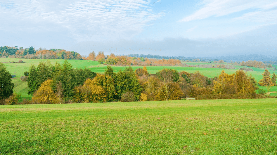 Lullingstone Country Park Kent - Photo