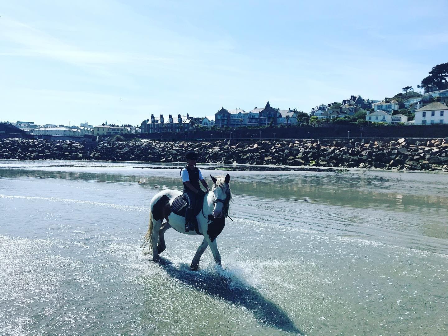 Cornwall Swimming Horses - Photo