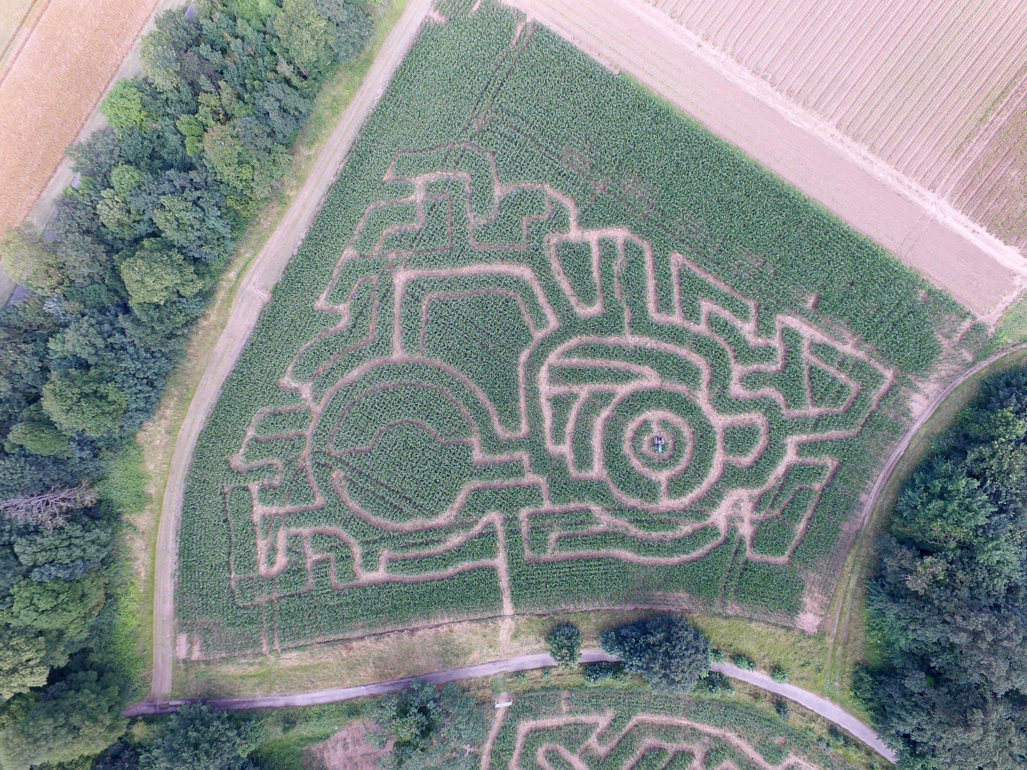 Quex Maize Maze - Photo